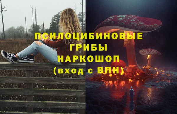 PSILOCYBIN Арсеньев