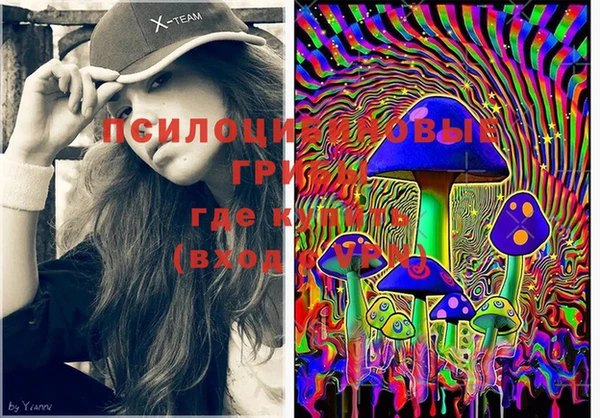 PSILOCYBIN Арсеньев