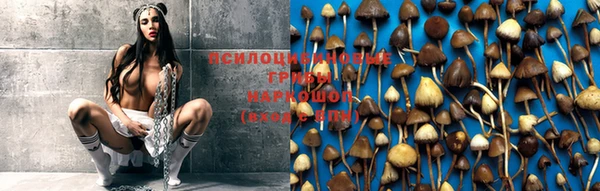 PSILOCYBIN Арсеньев