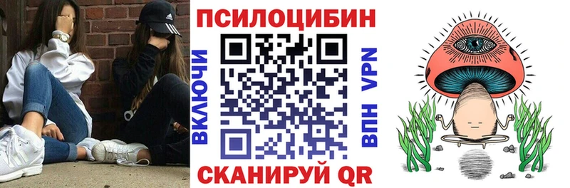 Псилоцибиновые грибы Cubensis Голицыно